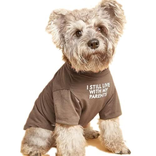 Round Neck Pet T Shirt Clothing Apparel
