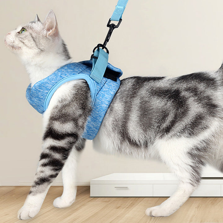 Pet Breathable Lightweight Chest Strap Lace Rope Leash