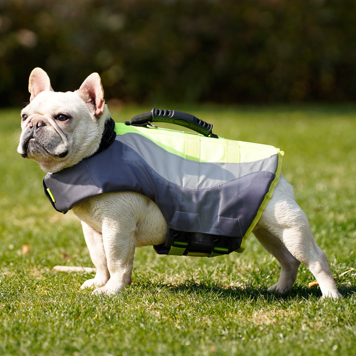 Reflective Pet Swimming Safety Life Jacket Apparel
