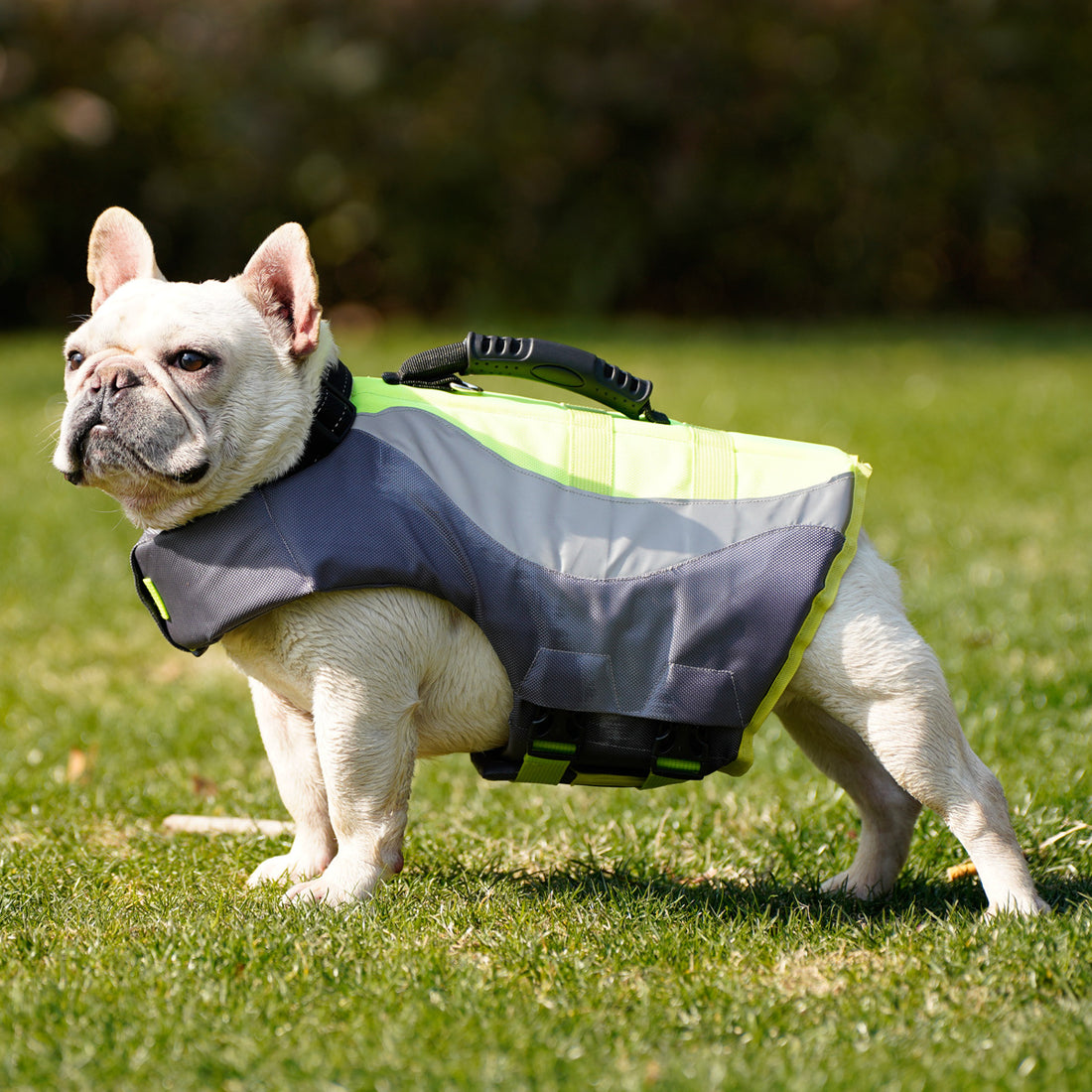Reflective Pet Swimming Safety Life Jacket Apparel