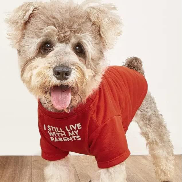 Round Neck Pet T Shirt Clothing Apparel