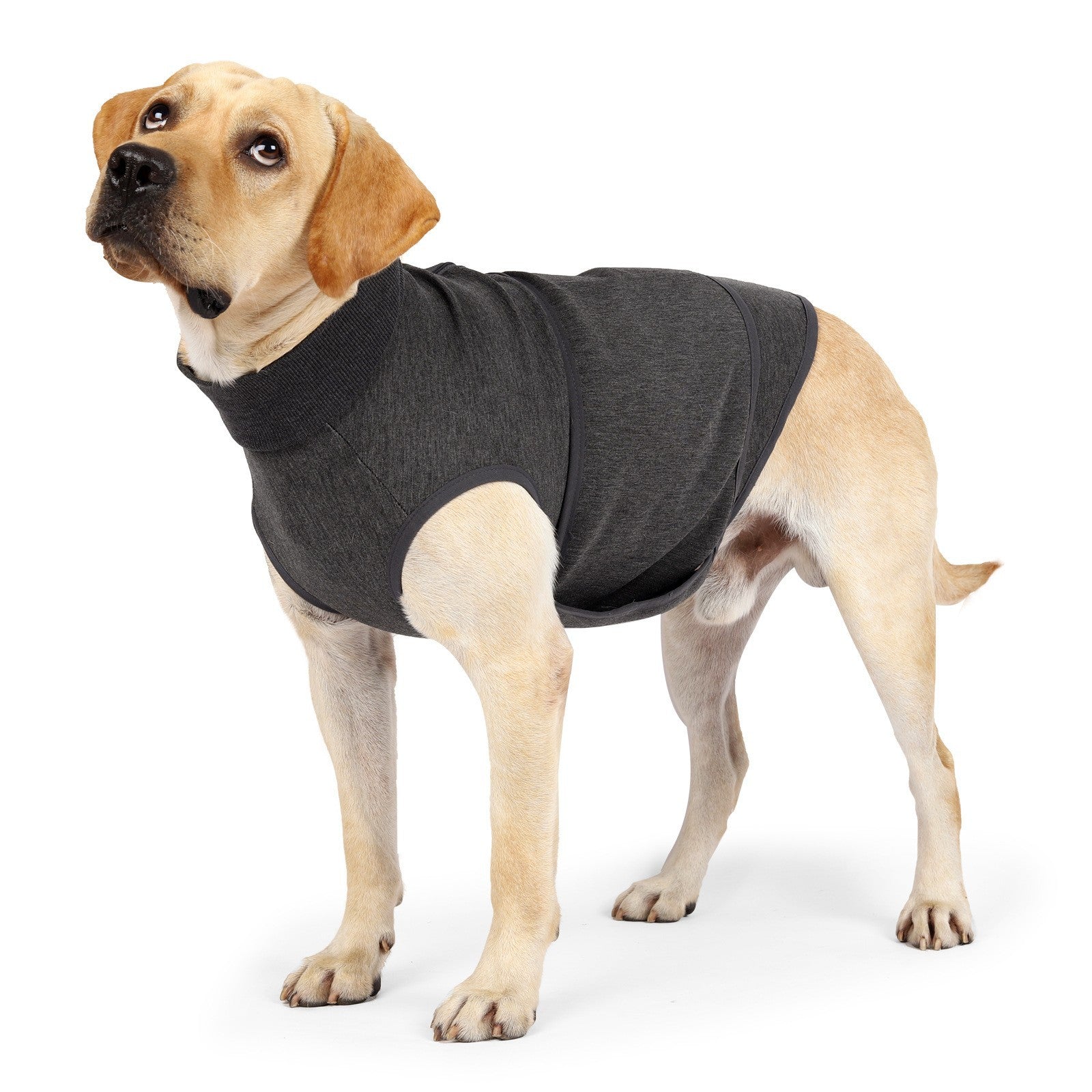 Emotional Comfort Polyester Cotton Pet Double Jacket Clothing