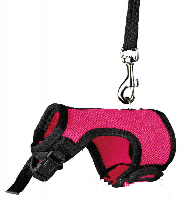 Pet Small Size Control Walking Leash