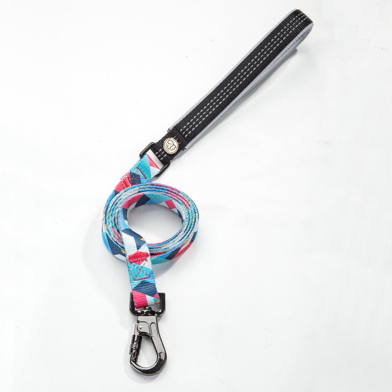 Pet Durable Walking Control Leash