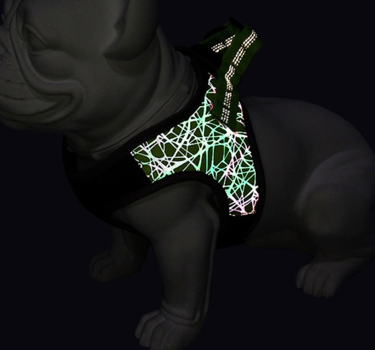 Pet Bullfight Style Vest Harness Leash