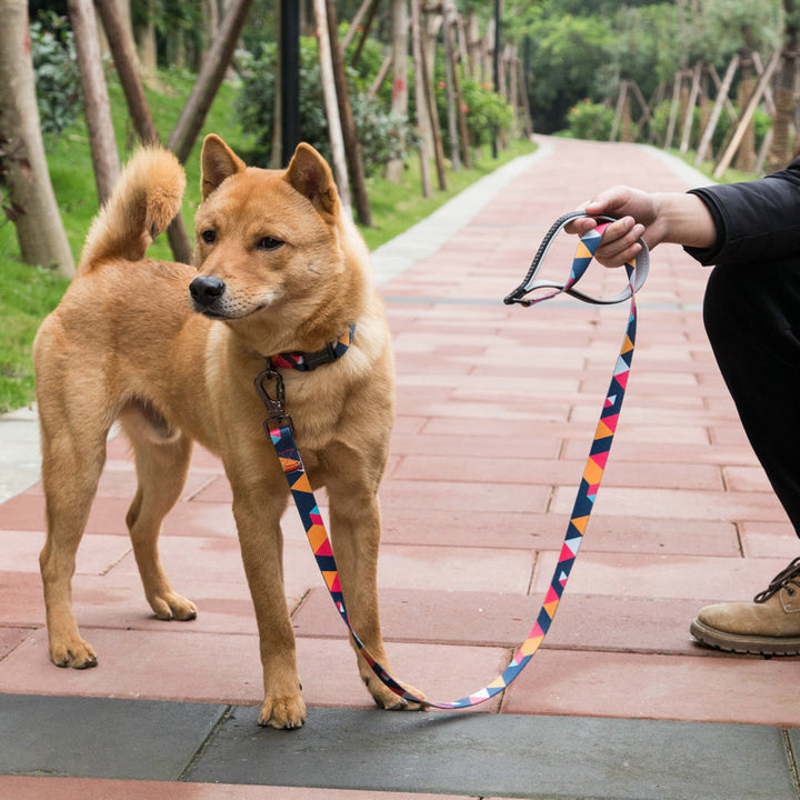 Pet Durable Walking Control Leash