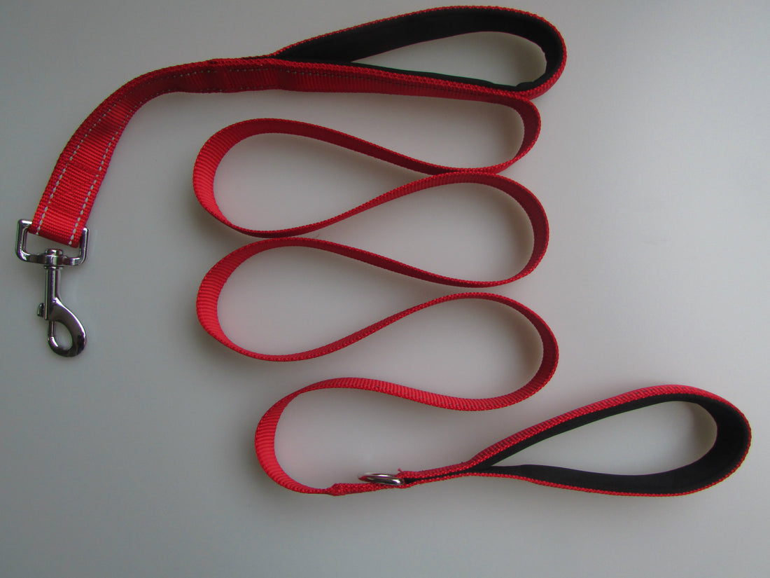 Pet Double Handle Control Pull Leash
