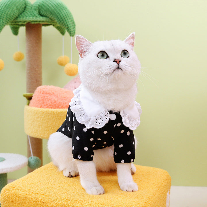 Pet Blue Ragdoll Style Casual Breathable T-Shirt