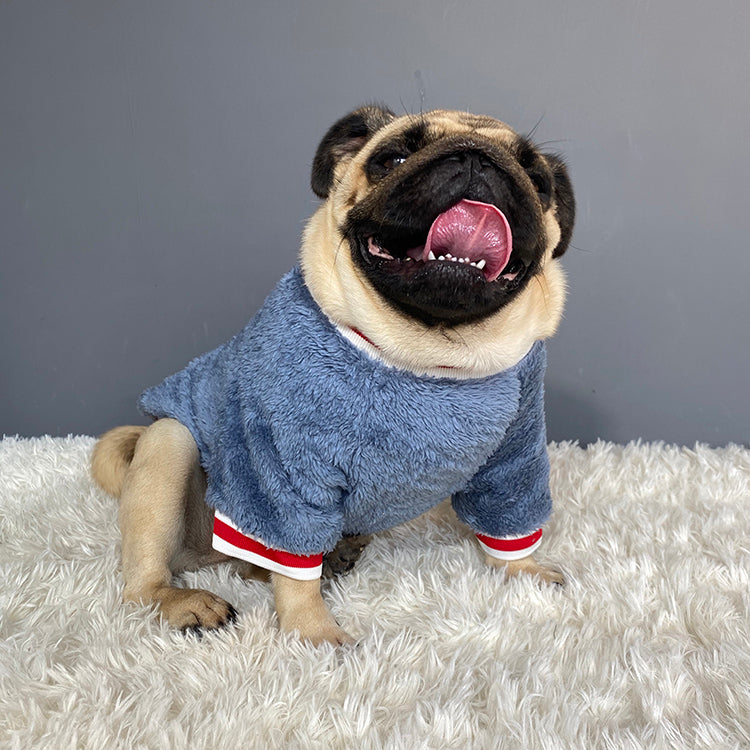 Fashion Pet Sweater Apparel
