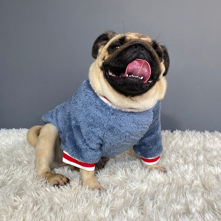 Fashion Pet Sweater Apparel