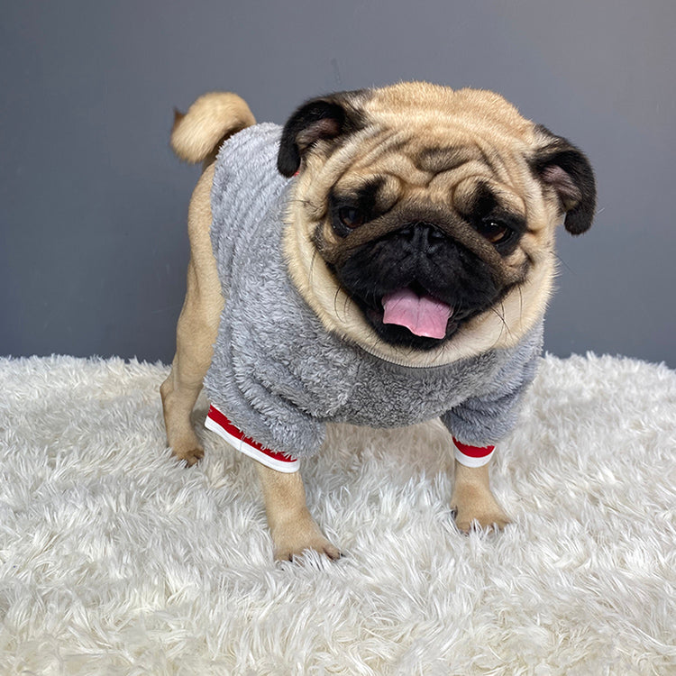 Fashion Pet Sweater Apparel