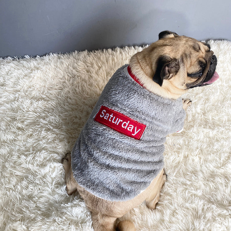 Fashion Pet Sweater Apparel