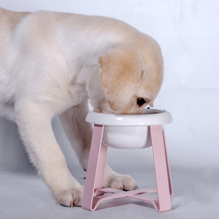Pet Anti Slip Iron Stand 2 In 1 Feeding Bowl Set