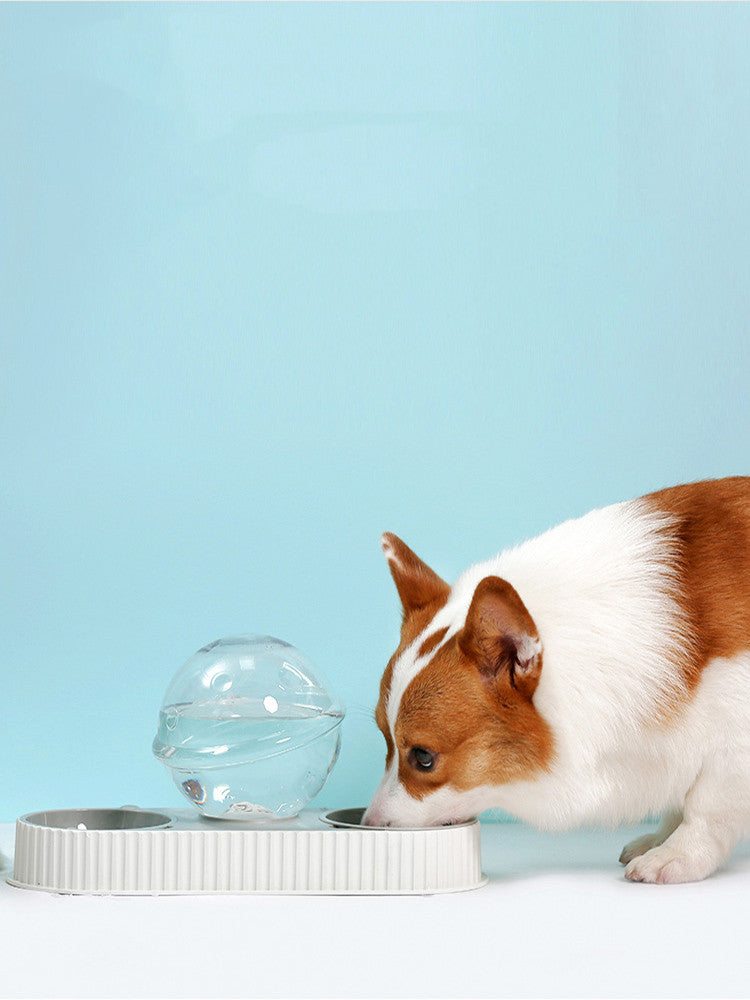 Pet Automatic Water Feeder Bowl Drinking Dispenser System