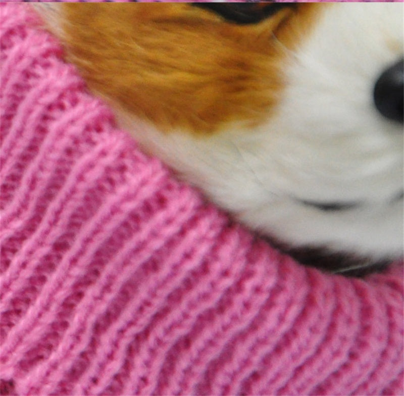 Fashion Pet Sweater Clothing Apparel