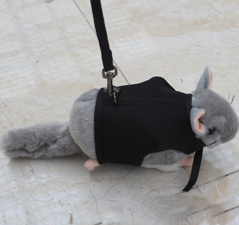 Pet Small Size Control Walking Leash