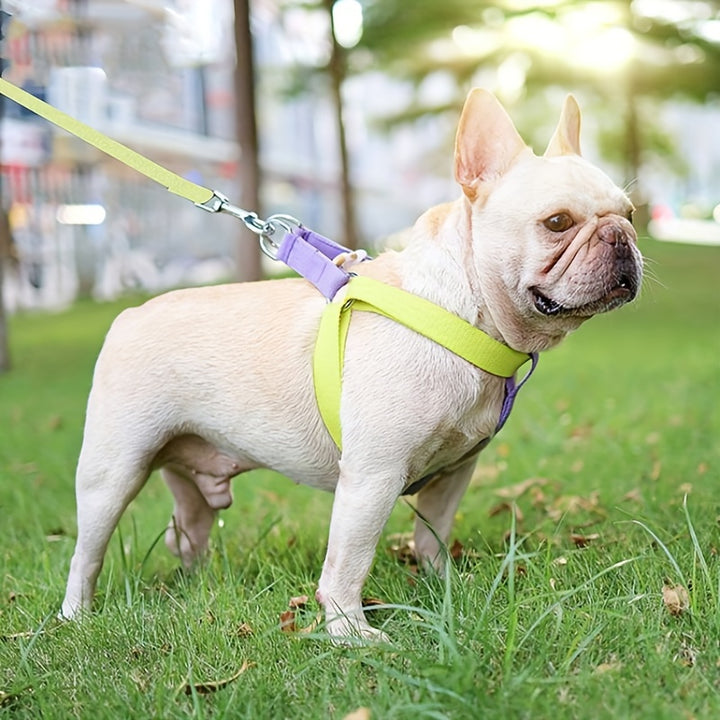Pet Rainbow Colorblock Vest Anti Escape Harness Set