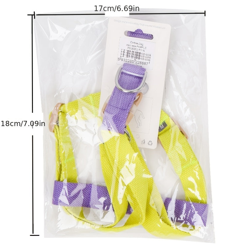 Pet Rainbow Colorblock Vest Anti Escape Harness Set