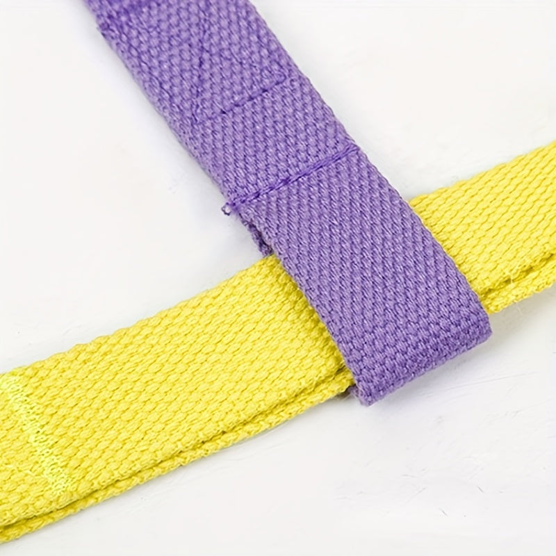 Pet Rainbow Colorblock Vest Anti Escape Harness Set