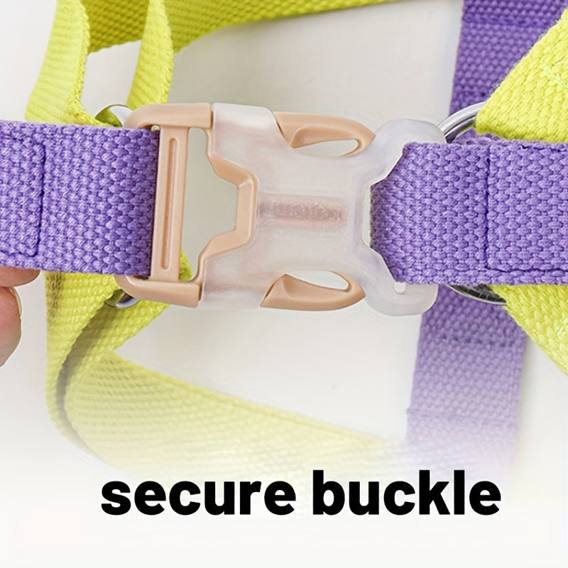 Pet Rainbow Colorblock Vest Anti Escape Harness Set