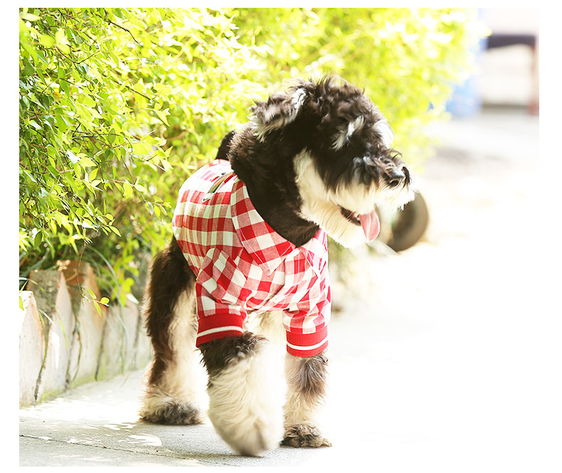 Pet Law Fight Summer Casual Graphic T-Shirt Unisex