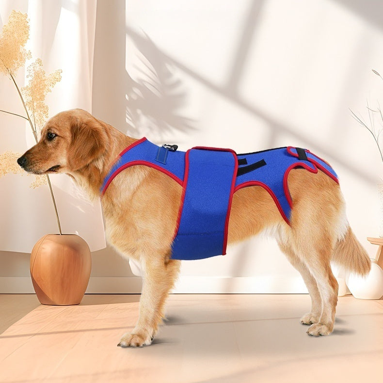 Spine Support Pet Posture Corrective Jacket Apparel