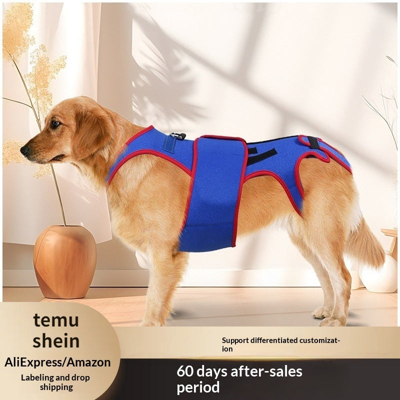 Spine Support Pet Posture Corrective Jacket Apparel