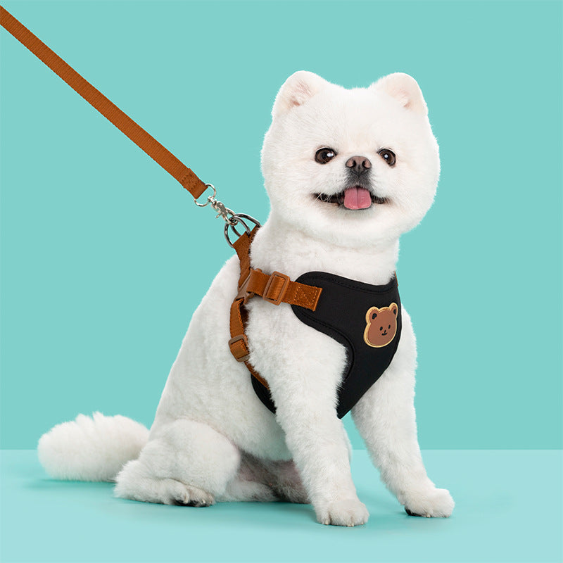 Pet Outdoor Walking Control Leash Strap