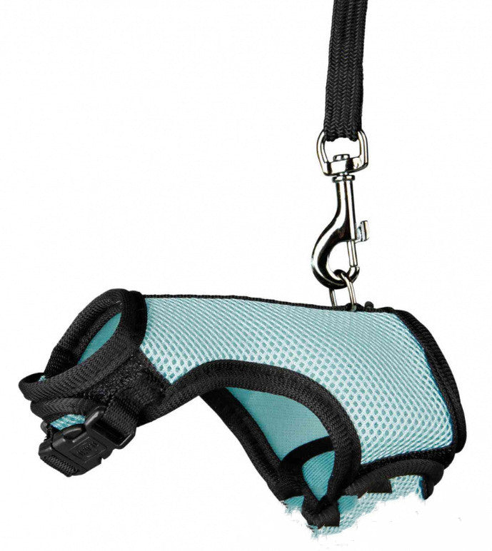 Pet Small Size Control Walking Leash