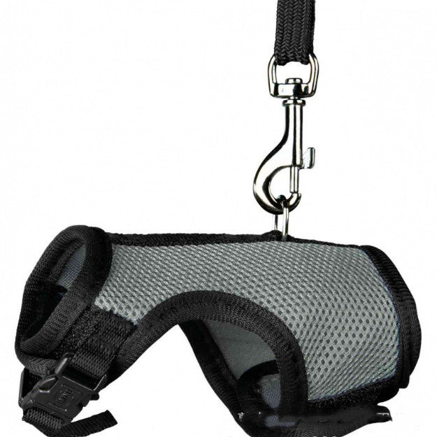 Pet Small Size Control Walking Leash