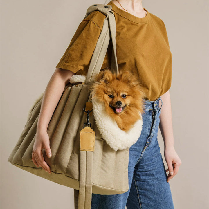 Lightweight Waterproof Pet Carrier Handbag For Outdoor Travel