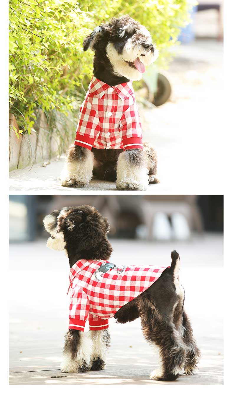 Pet Law Fight Summer Casual Graphic T-Shirt Unisex