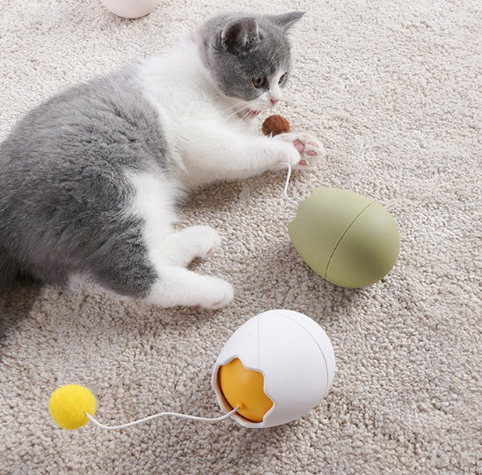 Funny Interactive Pet Play And Teasing Toy