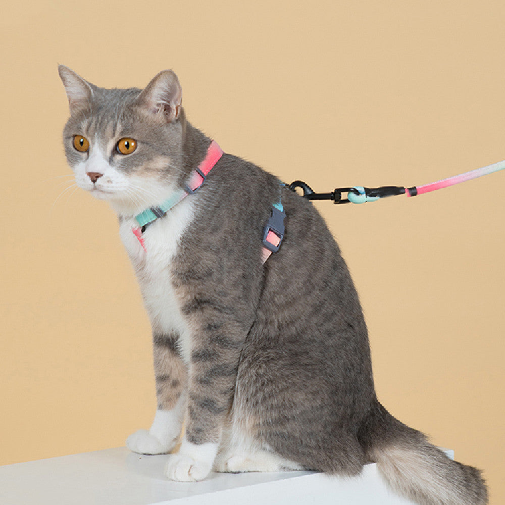 Pet Anti Escape Fashion Harness Leash Set