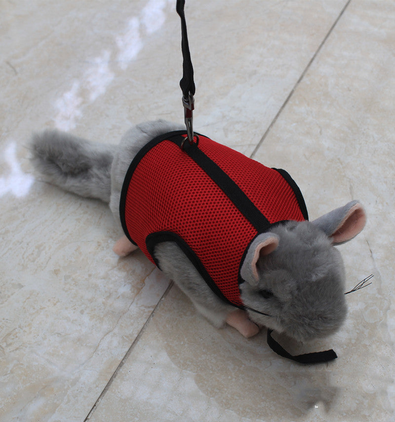 Pet Small Size Control Walking Leash