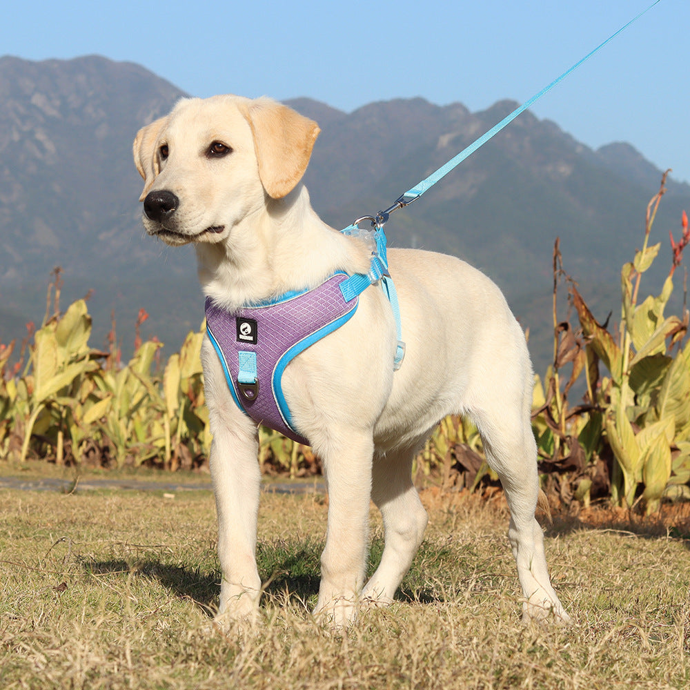 Pet Breathable Adjustable Harness Leash