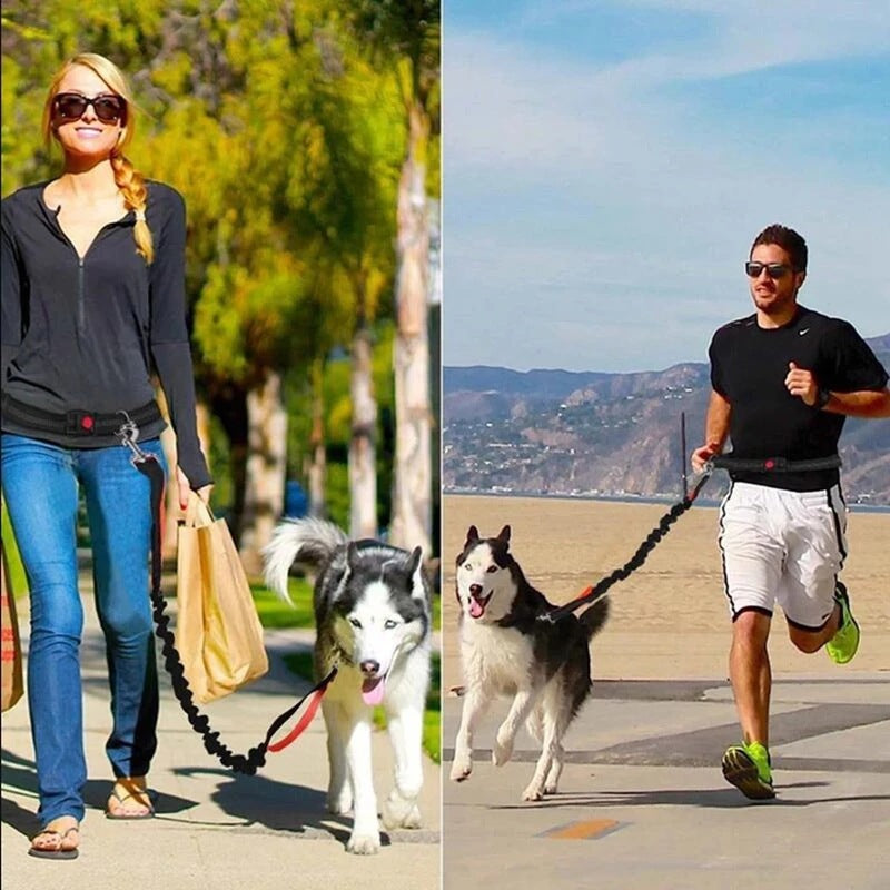Pet Adjustable Jogging Harness Collar Leash Set