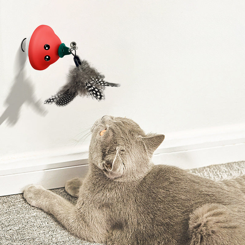 Suction Cup Pet Wand Interactive Exercise Toy