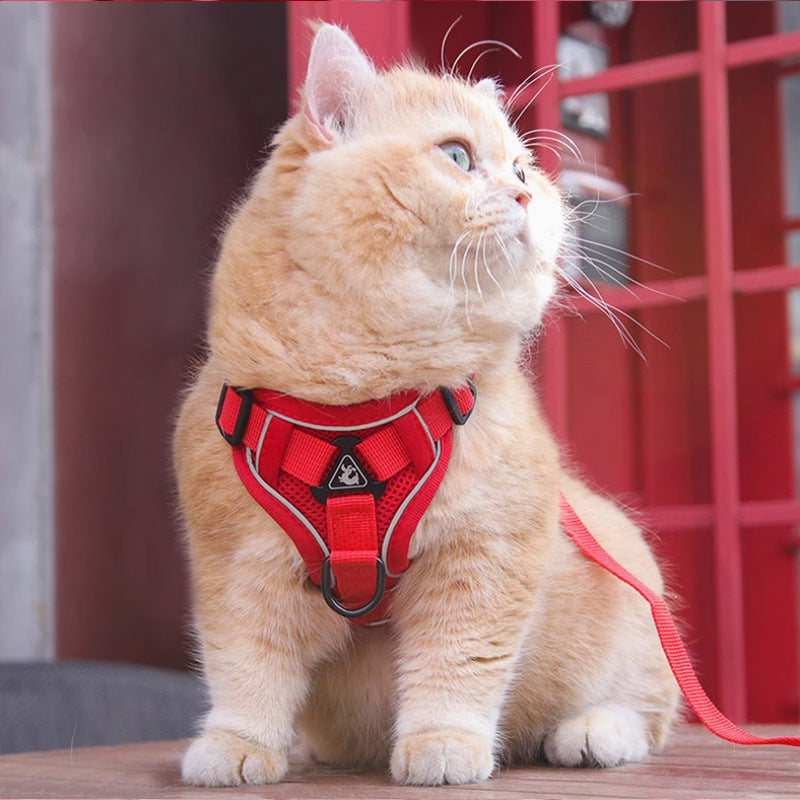 Pet Vest Harness Chest Strap With Leash Set