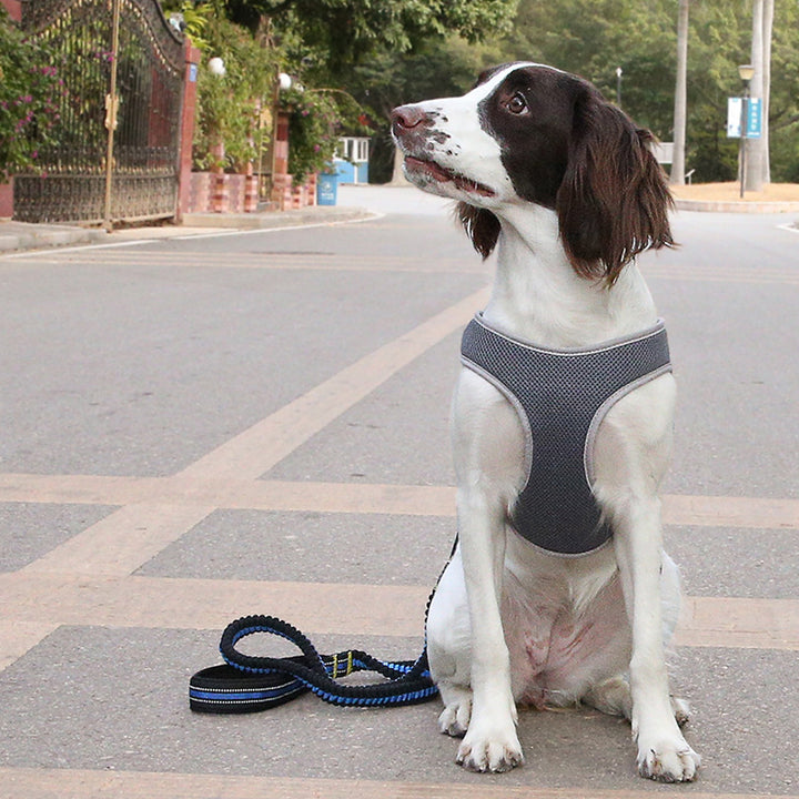 Pet Bullfight Style Vest Harness Leash