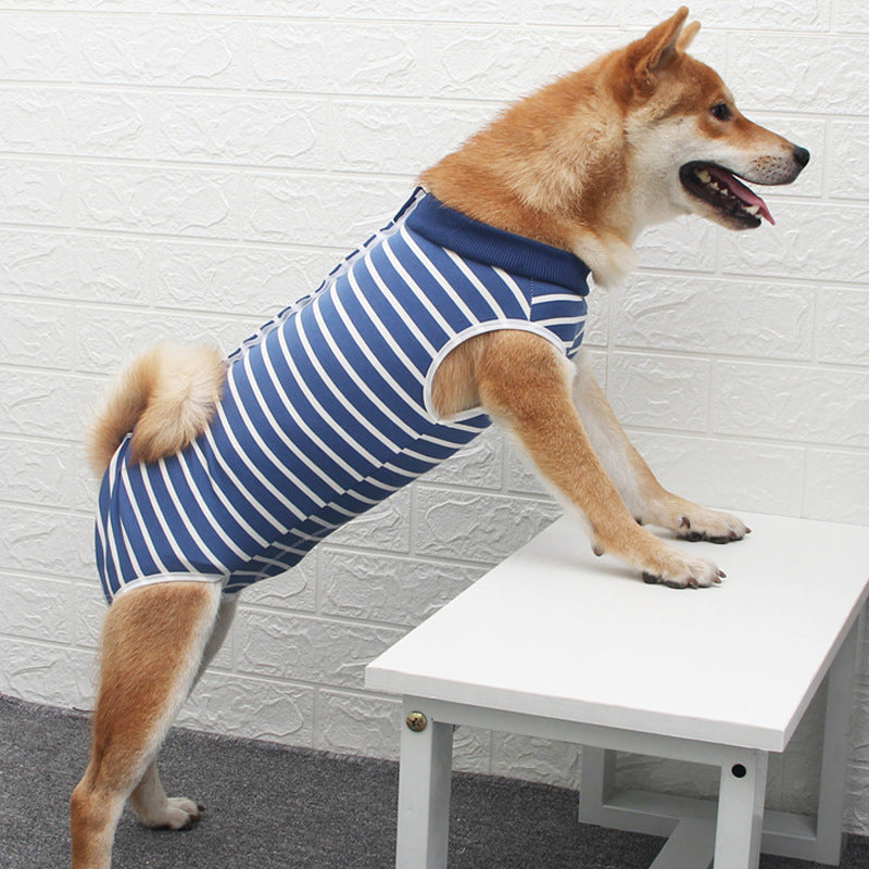 Multicolor Fashion Pet Clothing Apparel