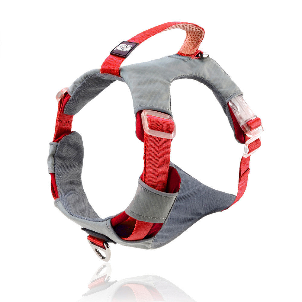 Pet Chest Strap Harness With Storage Bag For Outdoor Use