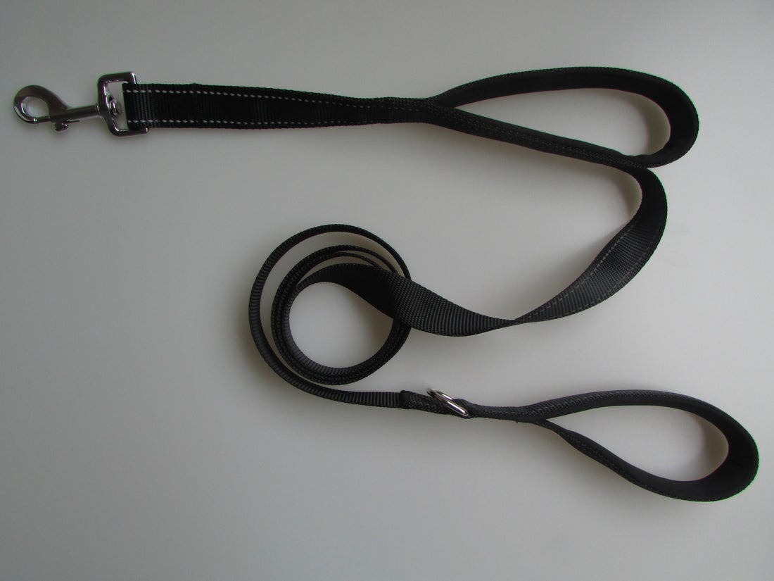 Pet Double Handle Control Pull Leash
