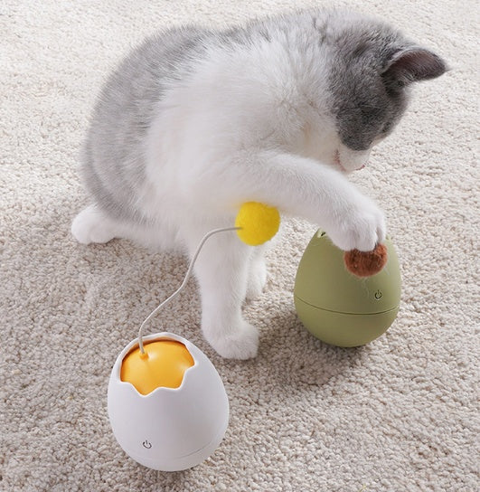 Funny Interactive Pet Play And Teasing Toy