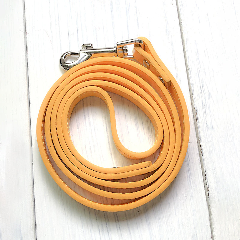 Pet Adjustable Leash And Collar Outdoor Control Set