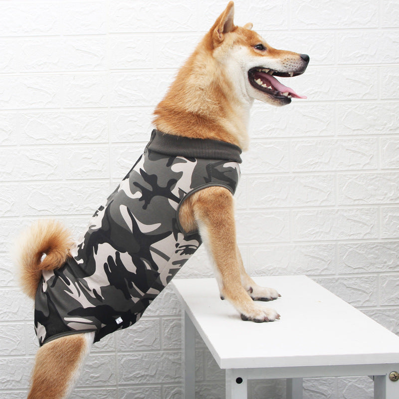 Multicolor Fashion Pet Clothing Apparel