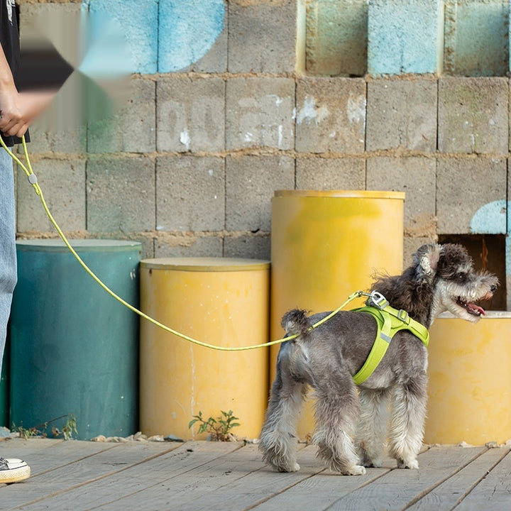 Pet Colorful Sliding Adjustable Control Leash