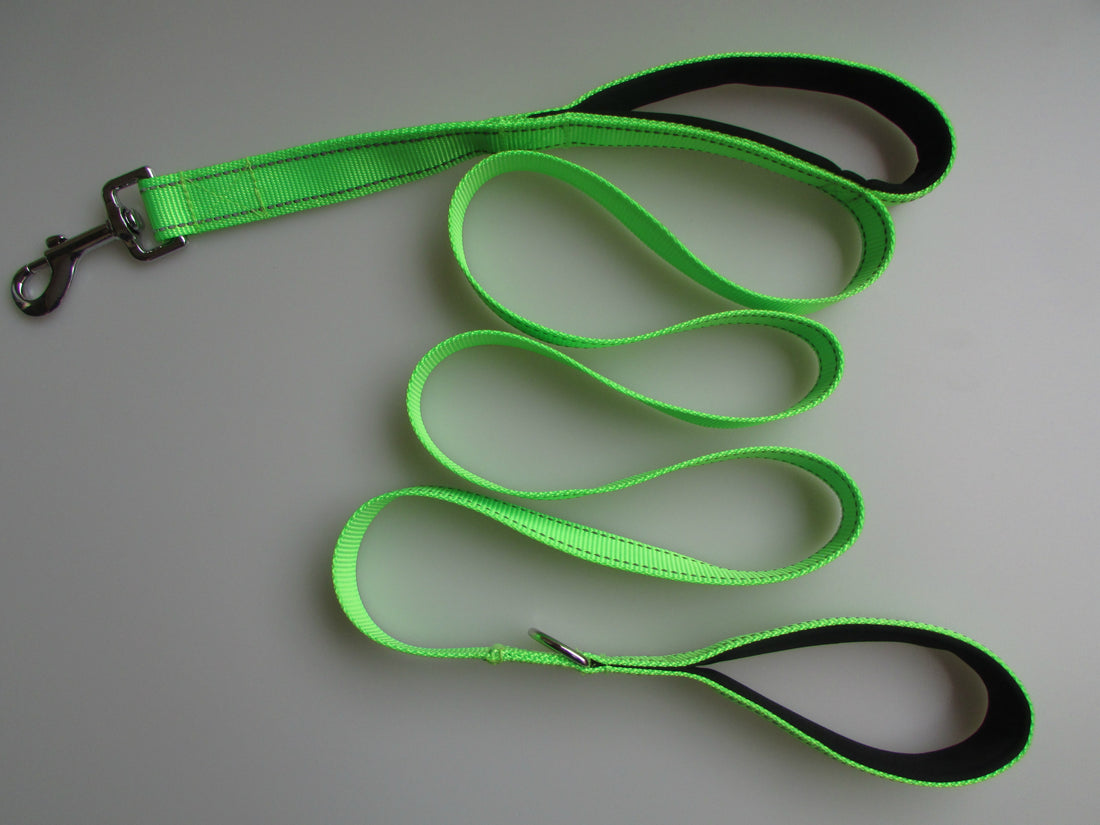 Pet Double Handle Control Pull Leash