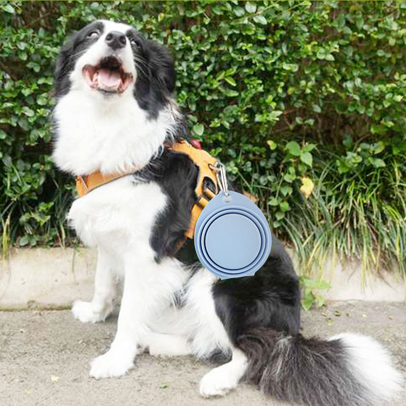 Pet Silicone Foldable Portable Feeding Bowl