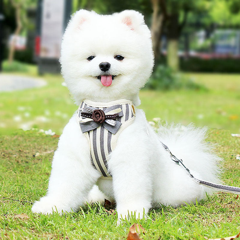 Pet Vest Style Chest Strap Leash Set